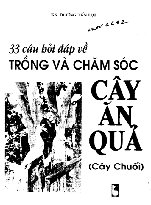 33 Câu Hỏi Đáp Về Trồng Và Chăm Sóc Cây Ăn Quả (Cây Chuối) – Bí Quyết Năng Suất Cao