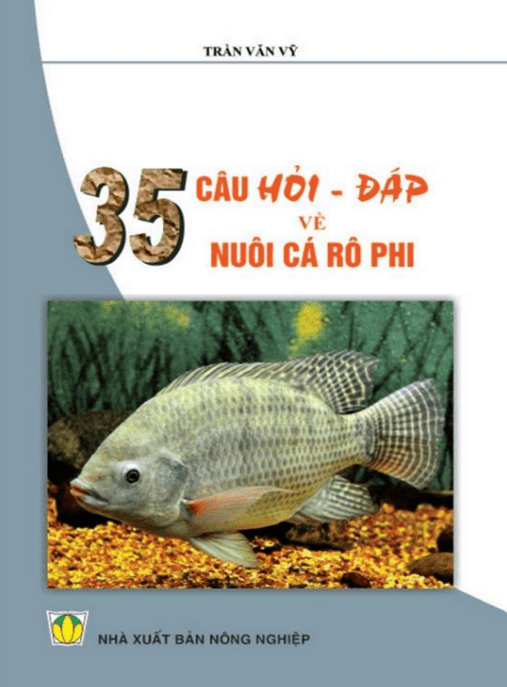 35 Câu Hỏi Đáp Về Nuôi Cá Rô Phi – Bí Quyết Thành Công Từ A-Z