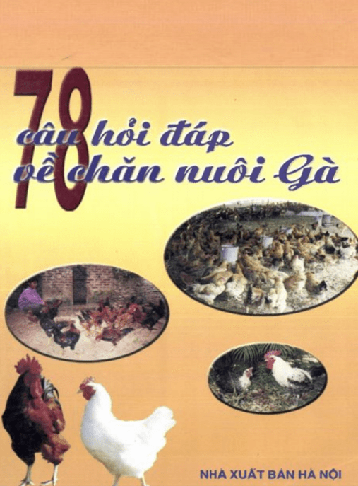 78 Câu Hỏi Đáp Về Chăn Nuôi Gà – Bí Quyết Thành Công Cho Nông Dân Mới