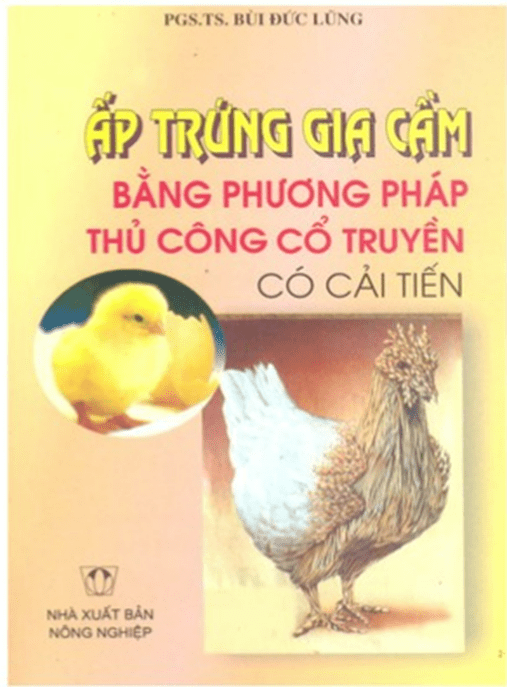 Ấp Trứng Gia Cầm Bằng Phương Pháp Thủ Công Cổ Truyền Có Cải Tiến – Bí Quyết Nở 99%!