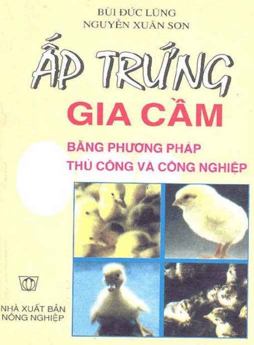 Ấp Trứng Gia Cầm Bằng Phương Pháp Thủ Công Và Công Nghiệp – Hướng Dẫn Chi Tiết
