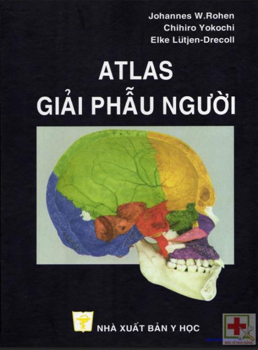 Atlas Giải Phẫu Người – Hình Ảnh 3D Chi Tiết Chuẩn Y Khoa