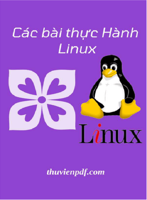 Các Bài Thực Hành Linux – Hướng Dẫn Thực Tế Cho Người Mới
