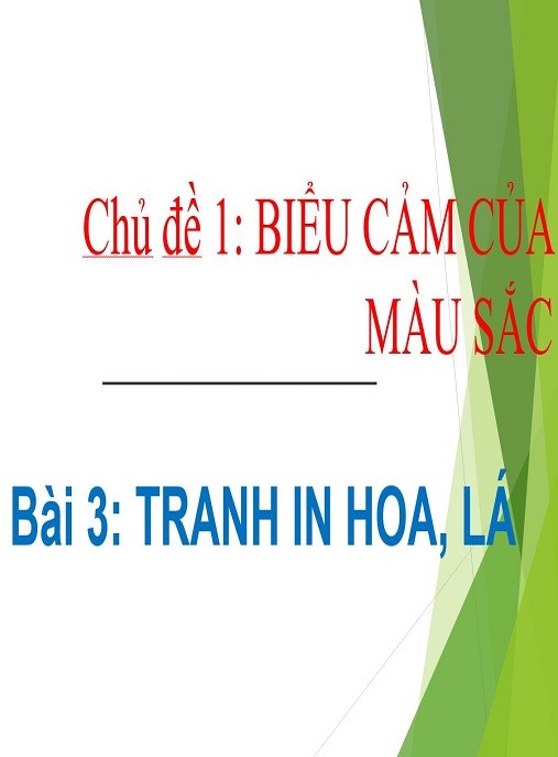 Khám Phá Sáng Tạo: Chủ Đề Biểu Cảm Của Màu Sắc – Tranh In Hoa, Lá (Mĩ Thuật Lớp 6)