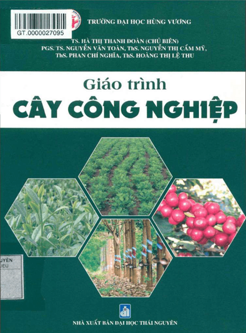 Giáo Trình Cây Công Nghiệp – Bí Quyết Thành Công Với Đậu Tương