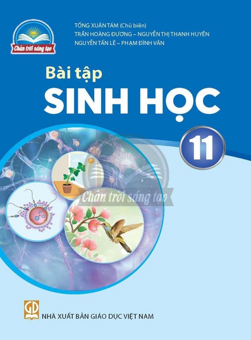 Bài Tập Sinh Học Lớp 11 (Chân Trời Sáng Tạo) – Luyện Tập Hoàn Hảo!