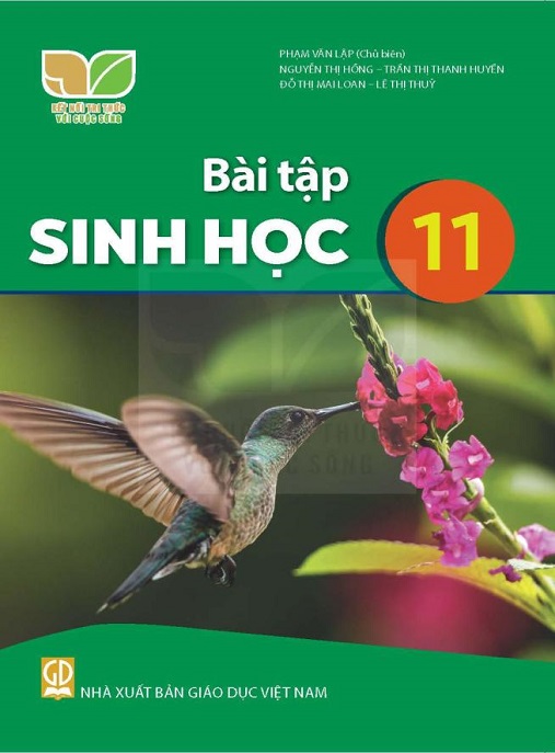 Bài Tập Sinh Học Lớp 11 (Kết Nối Tri Thức Với Cuộc Sống) – Bộ Bài Tập Hay Nhất!