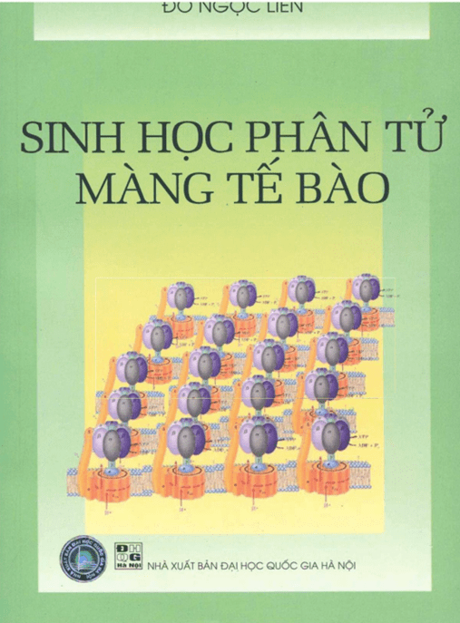 Sinh Học Phân Tử Màng Tế Bào – Khám Phá Cấu Trúc Sinh Học Hiện Đại