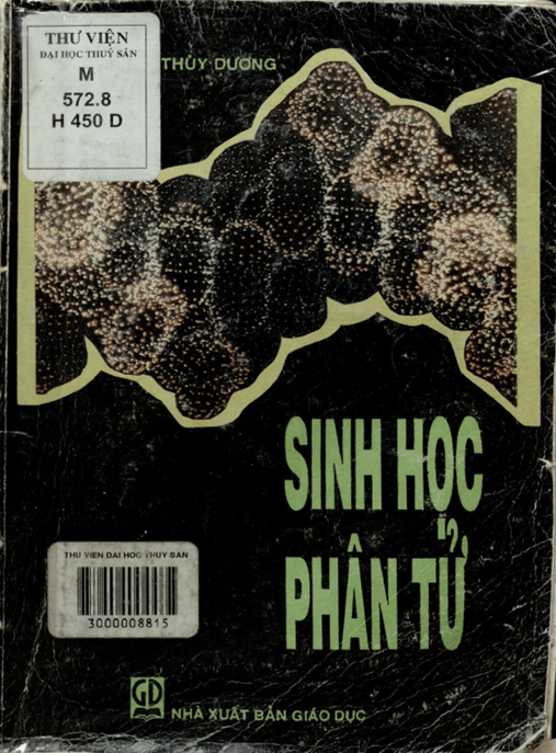 Sinh Học Phân Tử – Ebook PDF Học Liệu Số Chuẩn