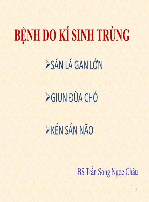 Bài giảng Bệnh do kí sinh trùng – BS. Trần Song Ngọc Châu | Tài liệu y khoa chuyên sâu