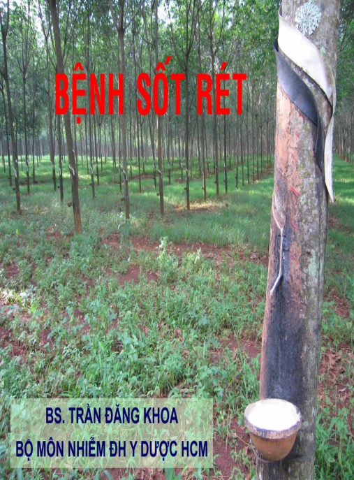 Bài giảng Bệnh sốt rét – Hướng dẫn toàn diện chẩn đoán & điều trị