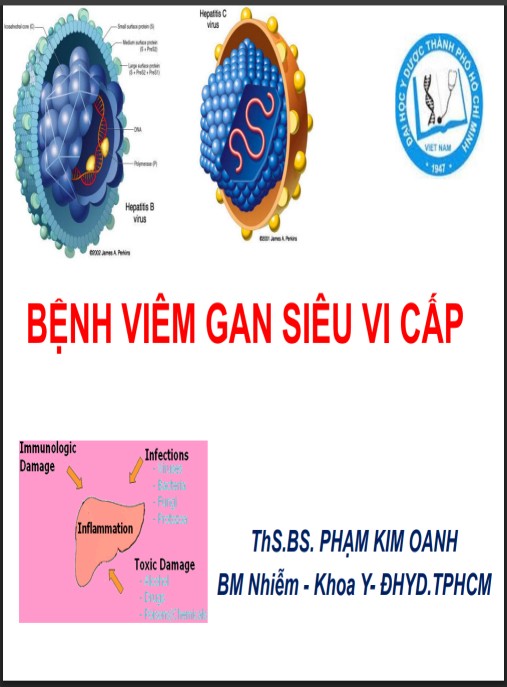 Bài giảng Bệnh viêm gan siêu vi cấp – Tài liệu y khoa cập nhật chuyên sâu