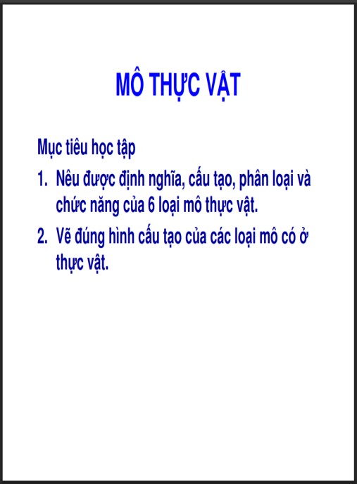 Bài giảng Mô thực vật – Bí quyết chinh phục kiến thức sinh học