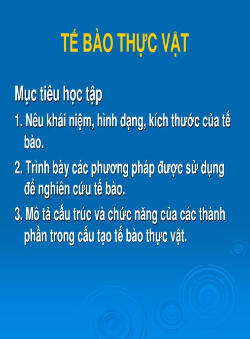 Bài giảng Tế bào thực vật – Hướng dẫn chi tiết cấu trúc và chức năng