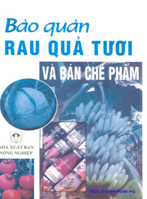 Bảo Quản Rau Quả Tươi Và Bán Chế Phẩm – Bí Quyết Giữ Tươi Lâu, Tăng Lợi Nhuận