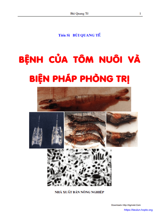 Bệnh Của Tôm Nuôi Và Biện Pháp Phòng Trị – Hướng Dẫn Toàn Diện Cho Nông Dân