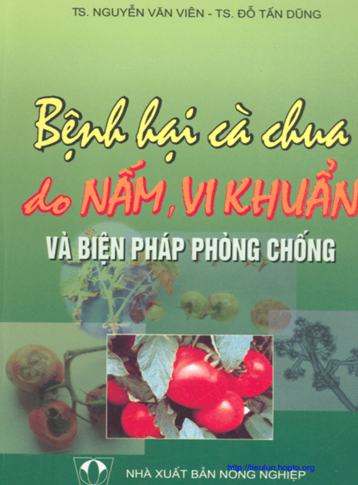 Bệnh Hại Cà Chua Do Nấm Vi Khuẩn Và Biện Pháp Phòng Chống – Hướng Dẫn Nông Dân