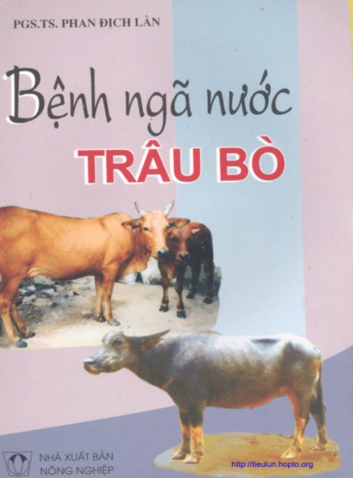 Bệnh Ngã Nước Trâu Bò – Hướng Dẫn Chẩn Đoán Điều Trị Hiệu Quả