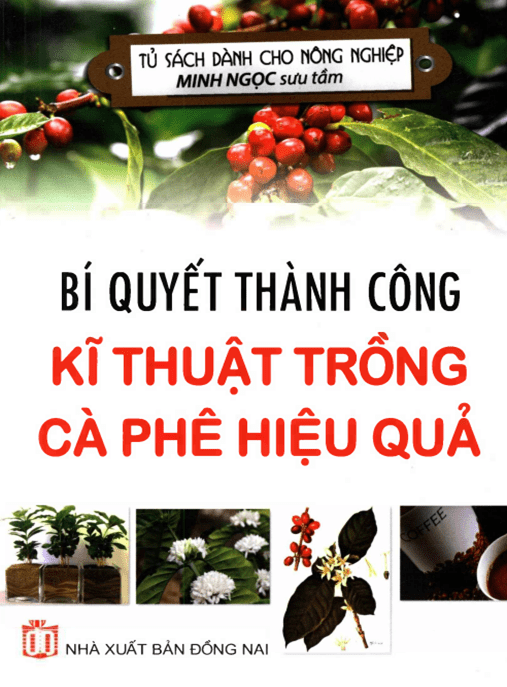 Bí Quyết Thành Công Kỹ Thuật Trồng Cà Phê Hiệu Quả – Hướng Dẫn Chi Tiết
