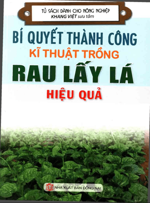 Bí Quyết Thành Công Kỹ Thuật Trồng Rau Lấy Lá Hiệu Quả – Hướng Dẫn Chi Tiết