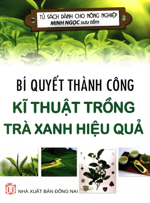 Ebook Bí Quyết Thành Công Kỹ Thuật Trồng Trà Xanh Hiệu Quả