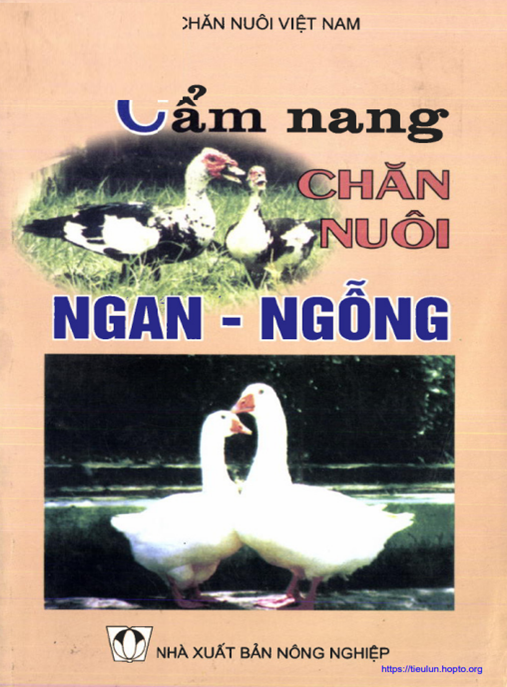 Cẩm Nang Chăn Nuôi Ngan Ngỗng – Bí Quyết Làm Giàu Hiệu Quả