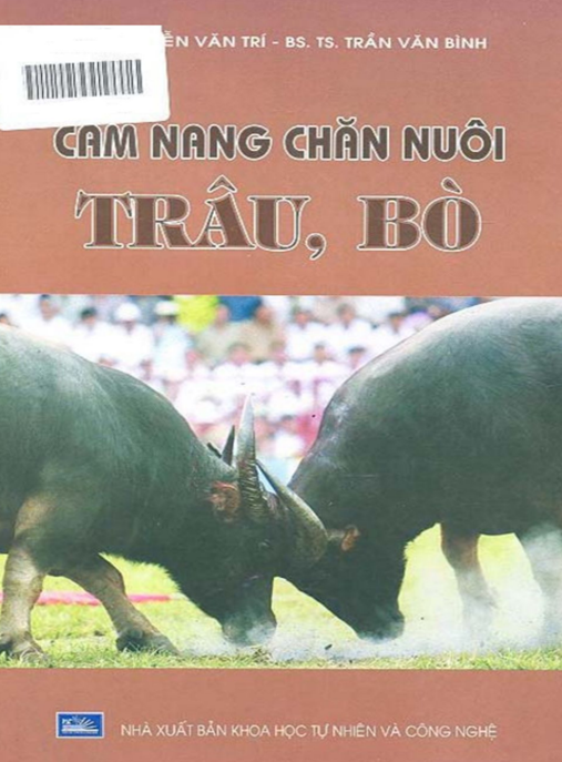 Cẩm Nang Chăn Nuôi Trâu Bò – Bí Quyết Thành Công Cho Nông Dân