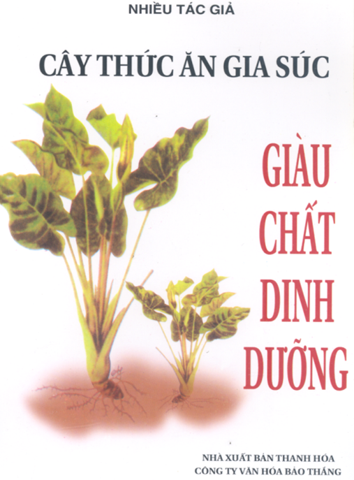 Cây Thức Ăn Gia Súc Giàu Chất Dinh Dưỡng – Bí Quyết Tăng Năng Suất Chăn Nuôi