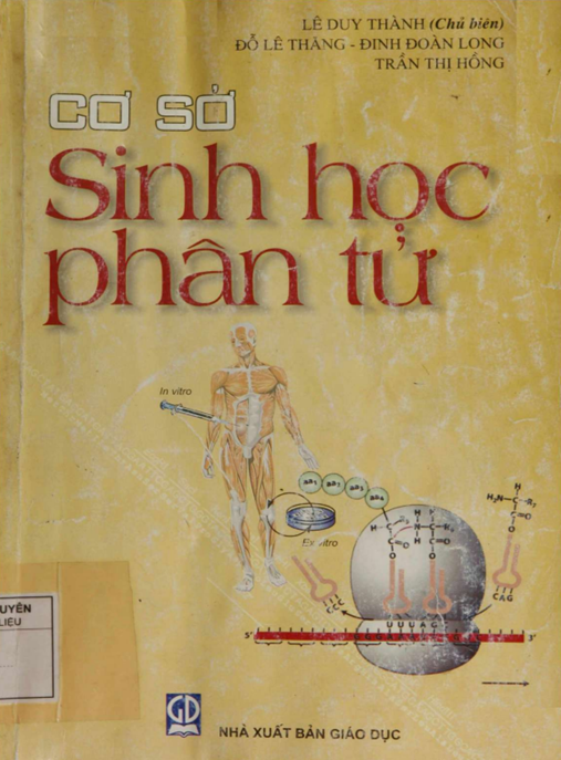 Cơ Sở Sinh Học Phân Tử – Nền Tảng Kiến Thức Cốt Lõi Cho Sinh Viên Sinh Học