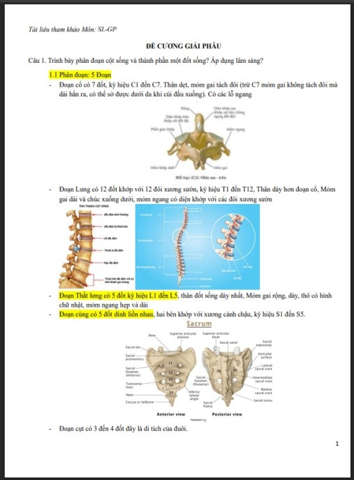 Đề cương ôn tập môn Giải phẫu – Bí quyết ôn thi đỉnh cao