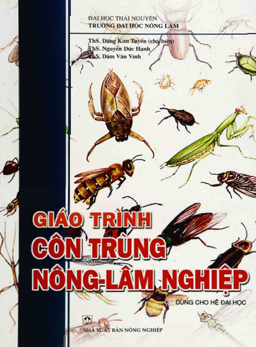 Giáo Trình Côn Trùng Nông Lâm Nghiệp – Hướng Dẫn Toàn Diện Phòng Trừ Sâu Hại