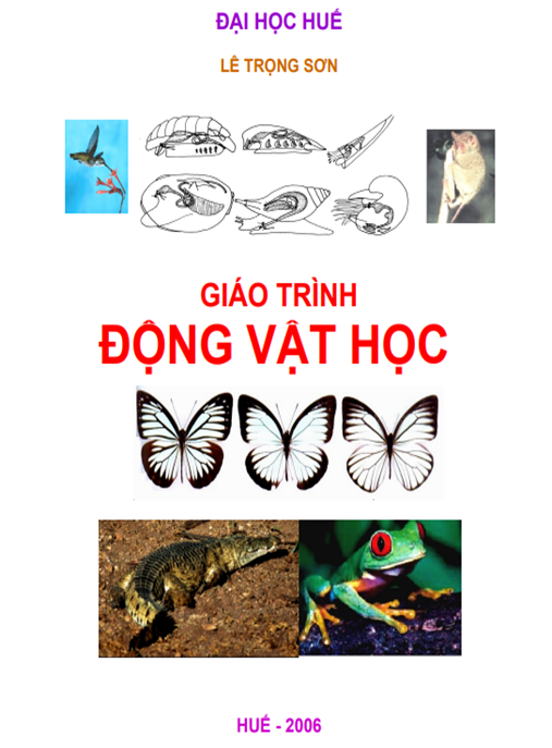Giáo Trình Động Vật Học – Hướng Dẫn Toàn Diện Về Thế Giới Sinh Vật