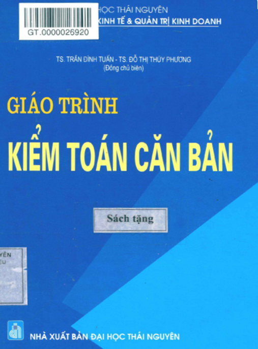 Giáo Trình Kiểm Toán Căn Bản – Nền Tảng Hoàn Hảo Cho Người Mới