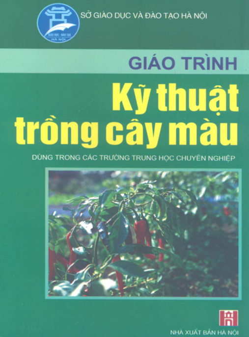 Giáo Trình Kỹ Thuật Trồng Cây Màu – Bí Quyết Năng Suất Cao Từ Chuyên Gia