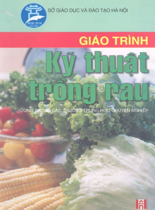 Giáo Trình Kỹ Thuật Trồng Rau – Bí Quyết Trồng Rau Sạch Tại Nhà