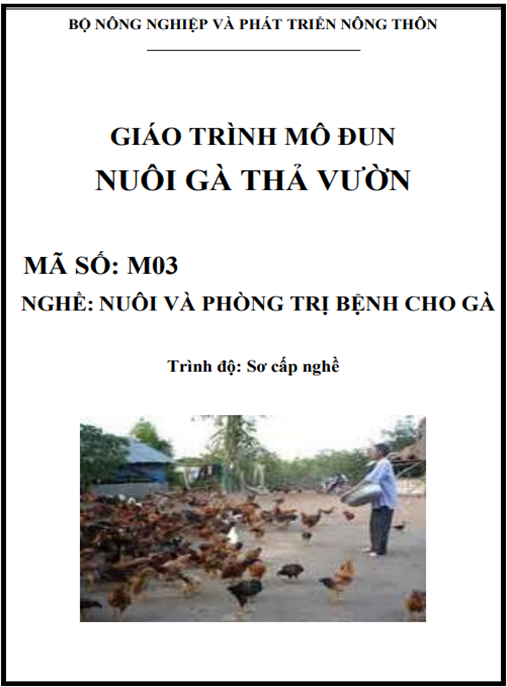 Giáo Trình Mô Đun Nuôi Gà Thả Vườn – Bí Quyết Làm Giàu Từ Trang Trại Xanh
