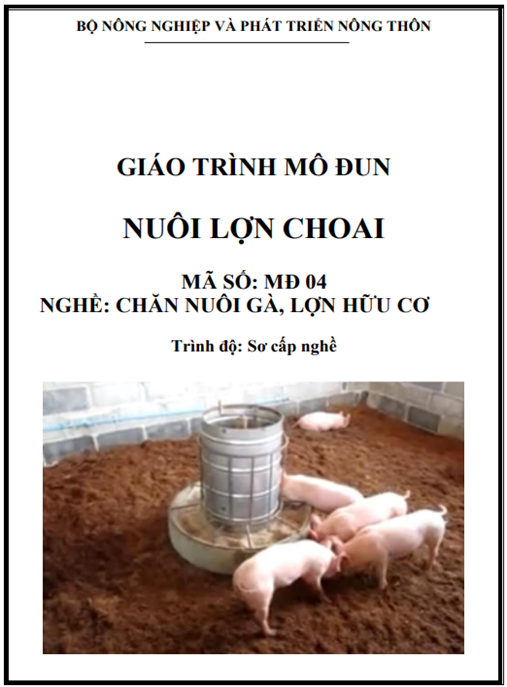 Giáo Trình Mô Đun Nuôi Lợn Choai – Bí Quyết Thành Công Tối Ưu