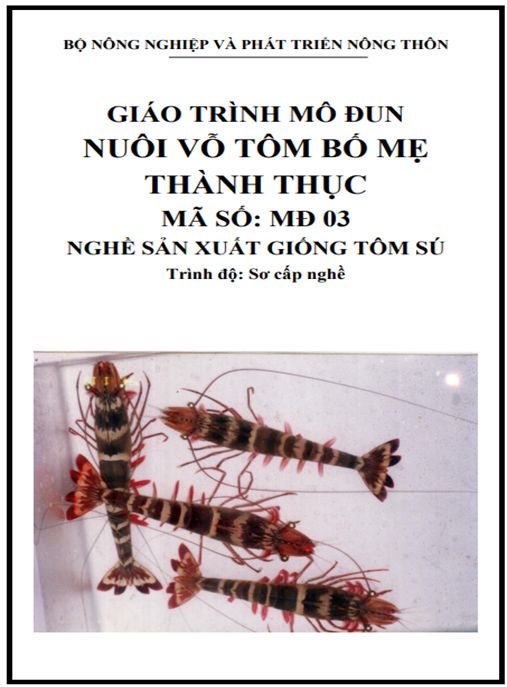 Giáo Trình Mô Đun Nuôi Vỡ Tôm Bố Mẹ Thành Thục – Bí Quyết Thành Công!