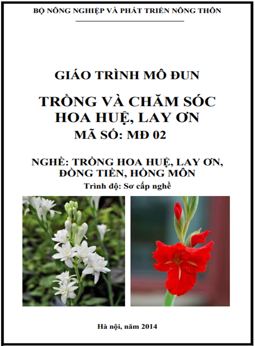 Hướng Dẫn Toàn Diện: Giáo Trình Mô Đun Trồng Và Chăm Sóc Hoa Huệ, Lay Ơn