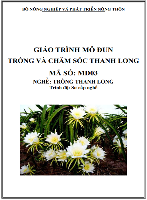 Giáo Trình Mô Đun Trồng Và Chăm Sóc Thanh Long – Bí Quyết Thành Công Cao