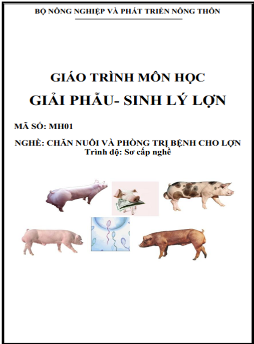 Giáo Trình Môn Học Giải Phẫu – Sinh Lý Lợn | PDF Chuẩn Thú Y