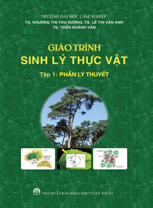 Giáo Trình Sinh Lý Thực Vật Tập 1 – Phần Lý Thuyết | Tài Liệu Học Tập Chuẩn Sinh Viên