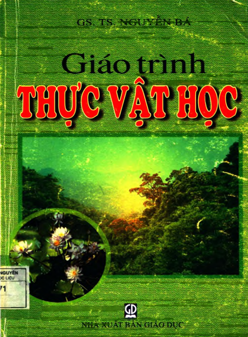Giáo Trình Thực Vật Học – Tài Liệu Toàn Diện Cho Sinh Viên Và Nhà Nghiên Cứu