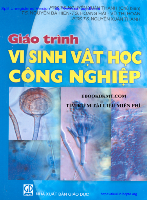 Giáo Trình Vi Sinh Vật Học Công Nghiệp – Kiến Thức Chuyên Sâu Cho Kỹ Sư Tương Lai