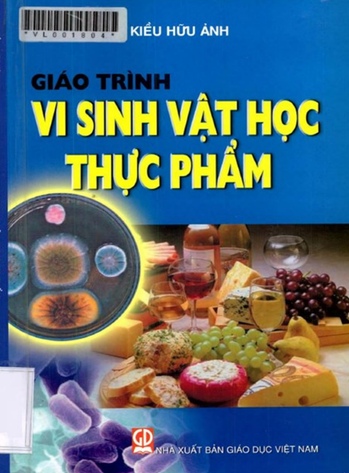 Giáo Trình Vi Sinh Vật Học Thực Phẩm – Kiến Thức Cơ Bản Đến Ứng Dụng Thực Tế