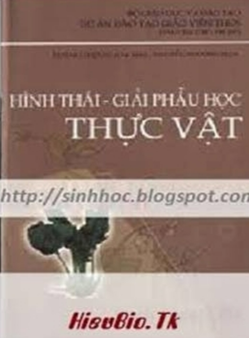 Hình Thái Giải Phẫu Học Thực Vật – Sách Giáo Khoa Chuyên Sâu Sinh Học