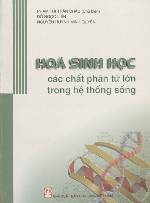 Hóa sinh học các chất phân tử lớn trong hệ thống sống: Phần 1 – Tài liệu chuyên sâu PDF