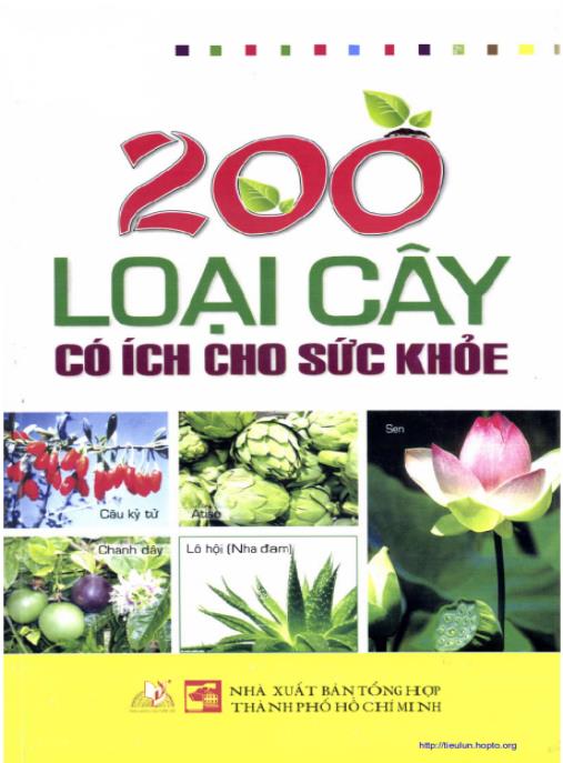 200 Loại Cây Có Ích Cho Sức Khỏe – Bí Quyết Thiên Nhiên Sống Khỏe Mỗi Ngày