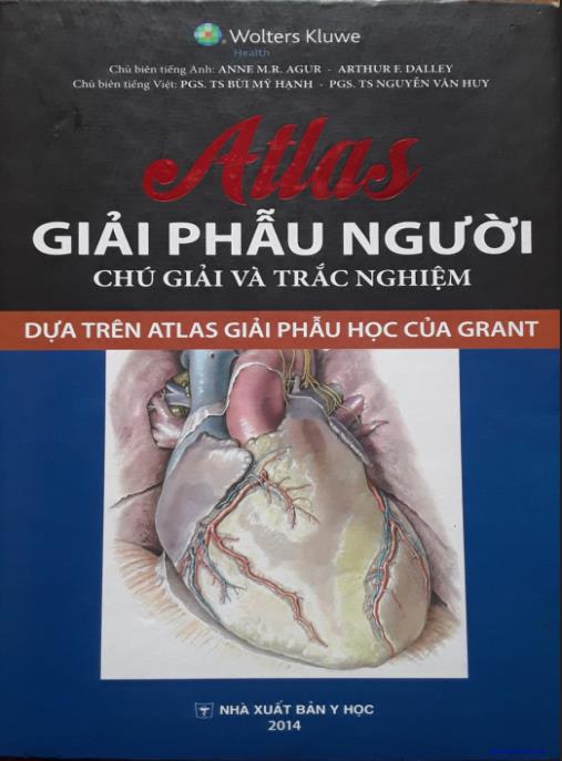 Atlas Giải Phẫu Người – Chú Giải Và Trắc Nghiệm | Hình Ảnh Y Khoa Chuẩn