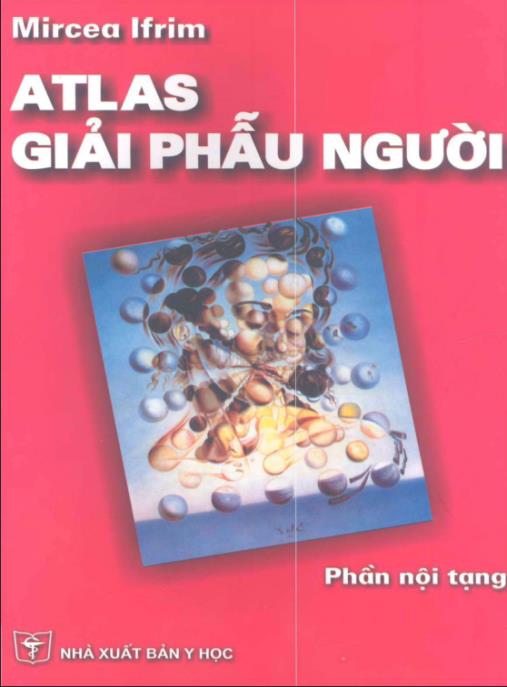 Atlas Giải Phẫu Người – Phần Nội Tạng | Hình Ảnh 3D Sinh Động Siêu Chi Tiết